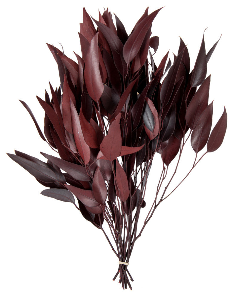 Vickerman H1Wil475 Natural Botanicals 18-20"X8" Red Eucalyptus Willow