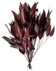 Vickerman H1Wil475 Natural Botanicals 18-20"X8" Red Eucalyptus Willow