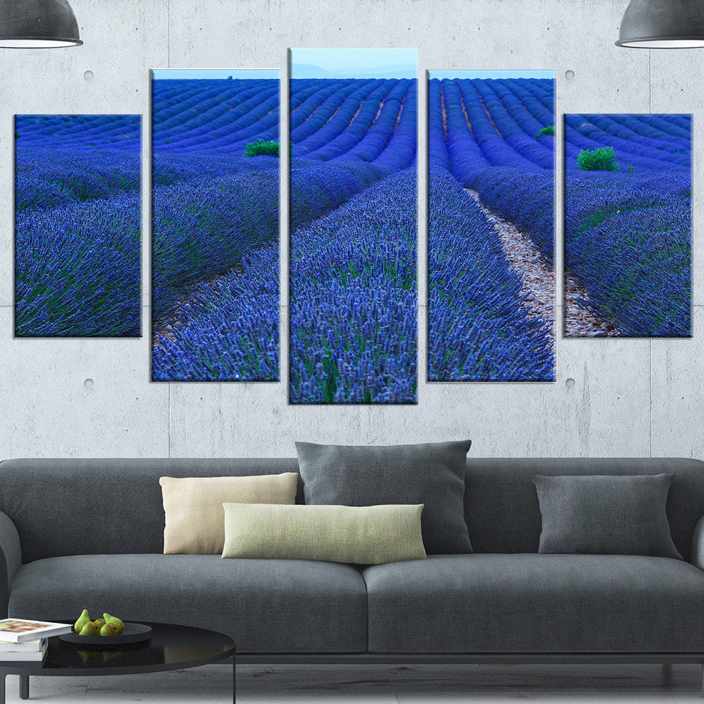 Lavender Field Sunset Near Valensole, Floral Canvas Art Print, 60"x32", 5 Panels