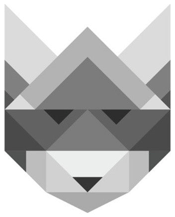 Poster Raccoon