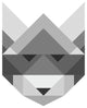 Poster Raccoon
