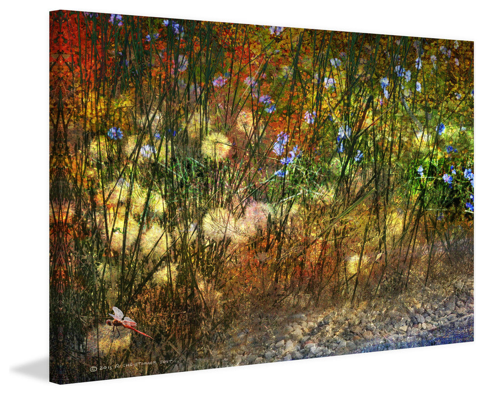 "Meadow Dragon Fly" Print on Canvas by Chris Vest