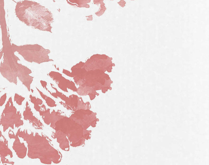 18x30", April Floral Print Hand Towels, Coral