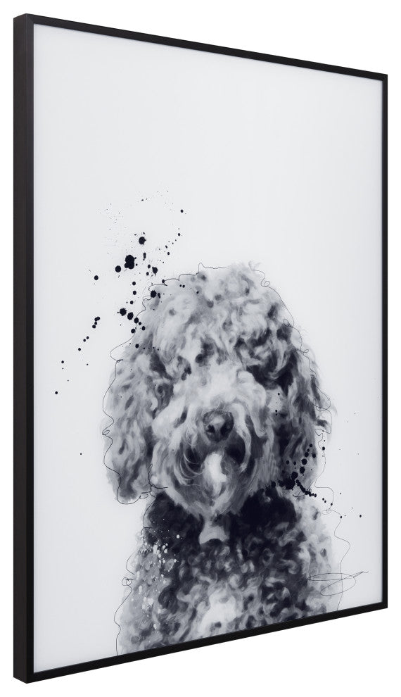 "Labradoodle" Black and White Pet Art on Printed Glass with Anodized Frame