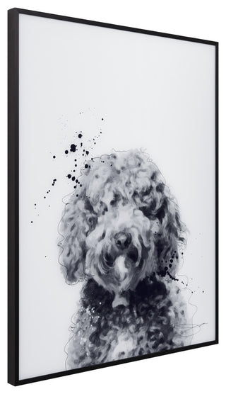 "Labradoodle" Black and White Pet Art on Printed Glass with Anodized Frame