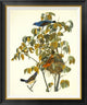 "Blue Grosbeak" Framed Canvas Giclee by John James Audubon, 28x34"