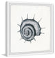 "Spiky Seashell" Framed Painting Print, 12"x12"