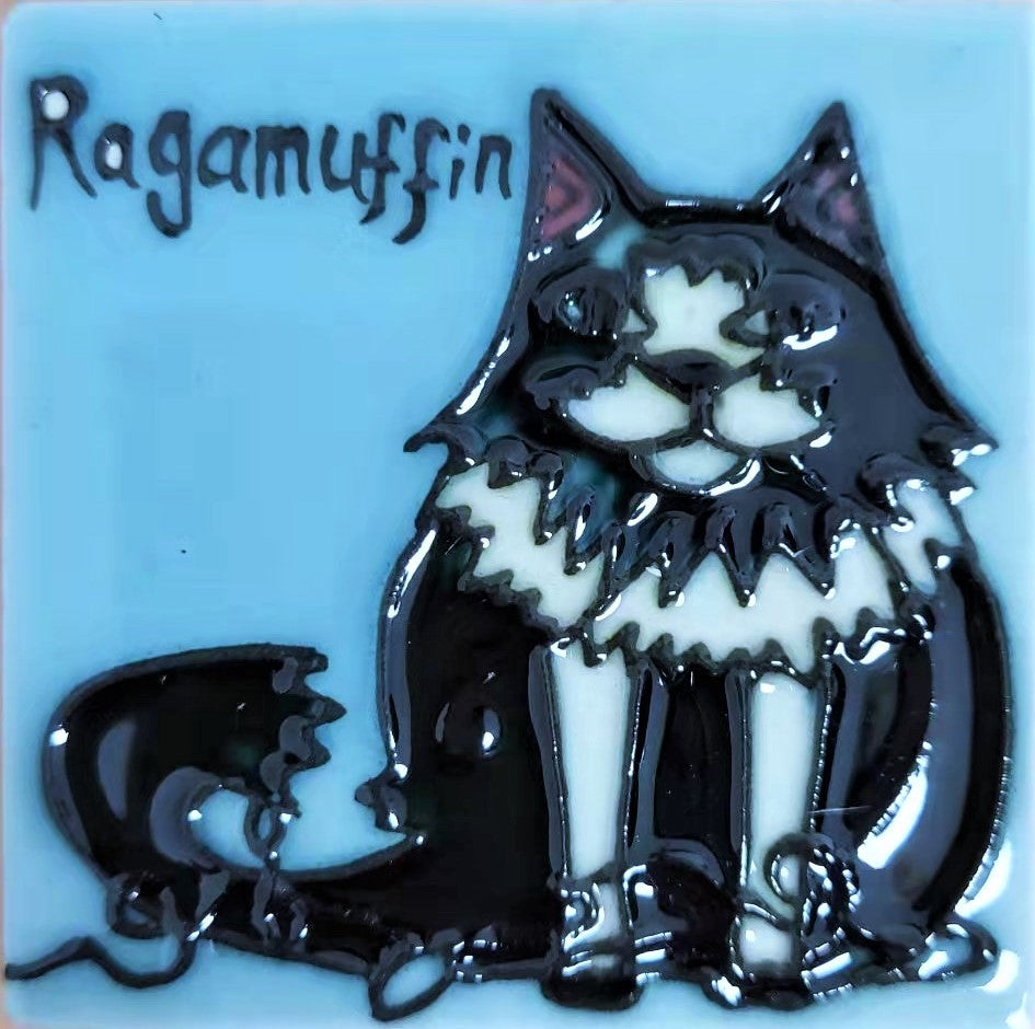 Ragamuffin Cat Magnet