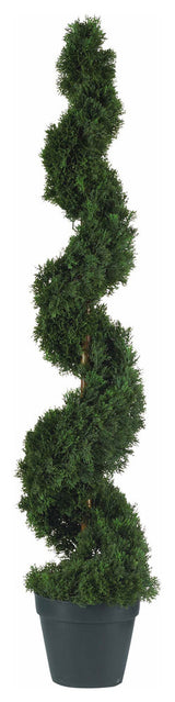 4' Cedar Spiral Silk Tree, In Door and Out Door