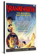 "Frankenstein" Stretched Canvas Giclee by Hollywood Photo Archive, 24x36"