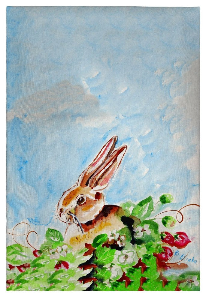 Jack Rabbit Lt Guest Towel - Two Sets of Two (4 Total)