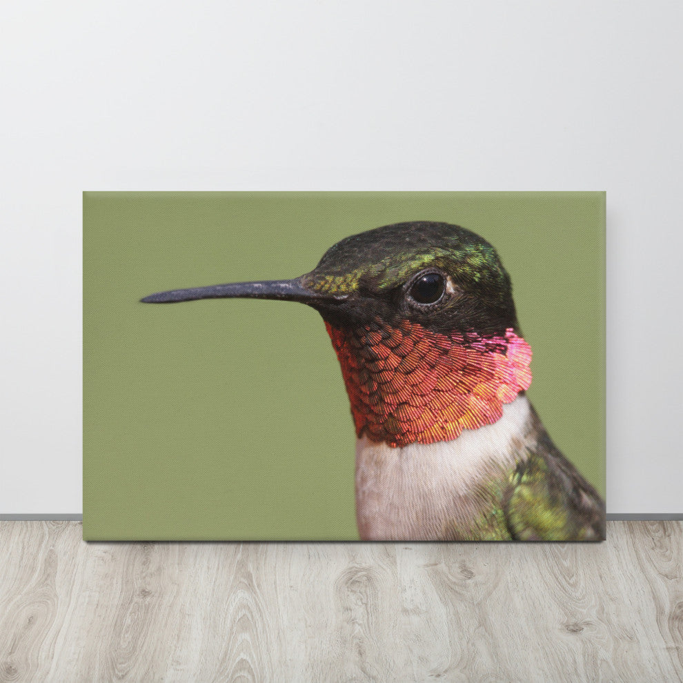 Close-up Ruby-throated Hummingbird Wildlife Photograph Canvas Wall Art Print, 24" X 36"