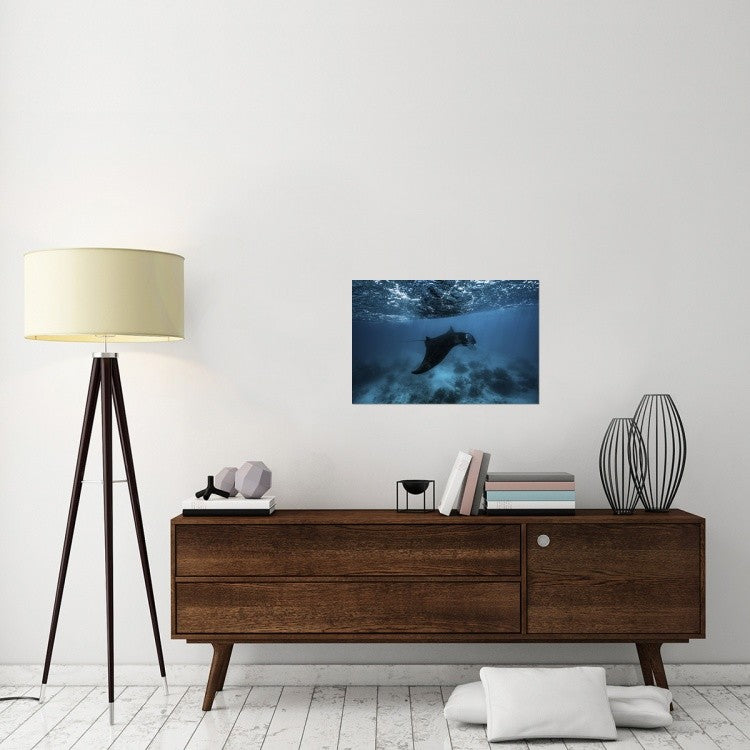 "Manta Ray" Stretched Canvas Giclee by Barathieu Gabriel, 30"x20"