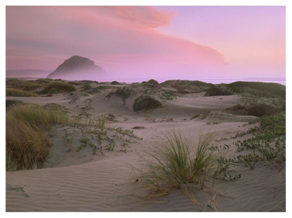 "Morro Rock at Morro Bay, California" Paper Print by Tim Fitzharris, 26"x20"