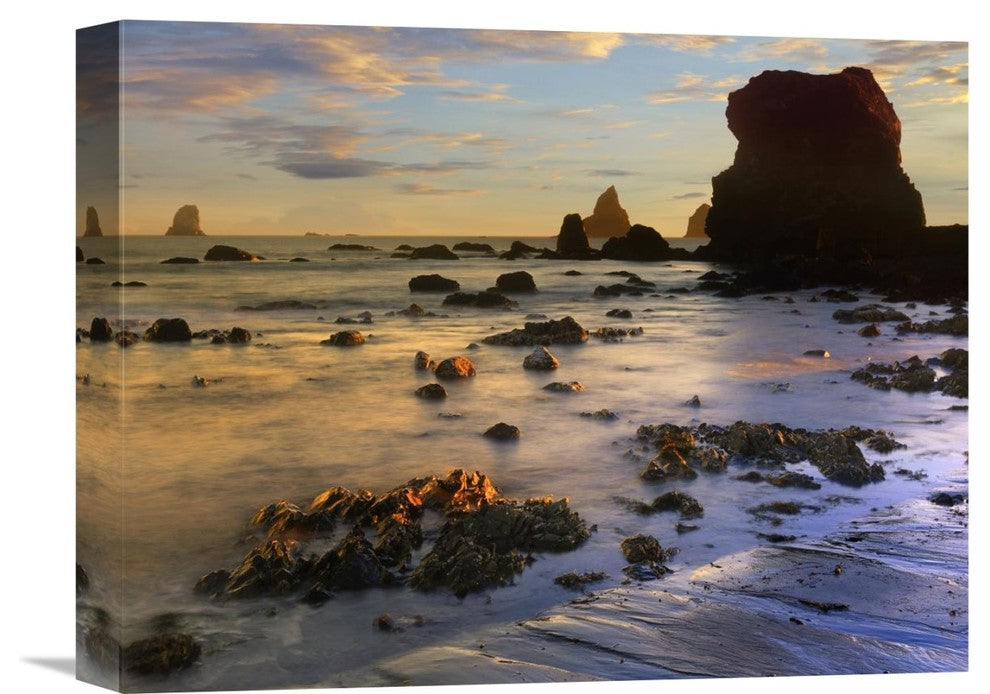 "Seastacks, Lone Ranch Beach, Oregon" Canvas Giclee by Tim Fitzharris, 16"x12"