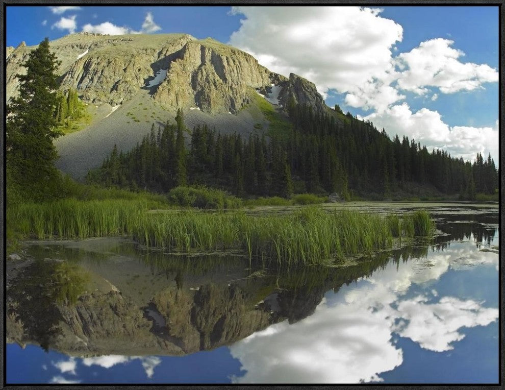 "Palmyra Peak reflected in Alta Lake, Colorado"  by Tim Fitzharris, 33x25"