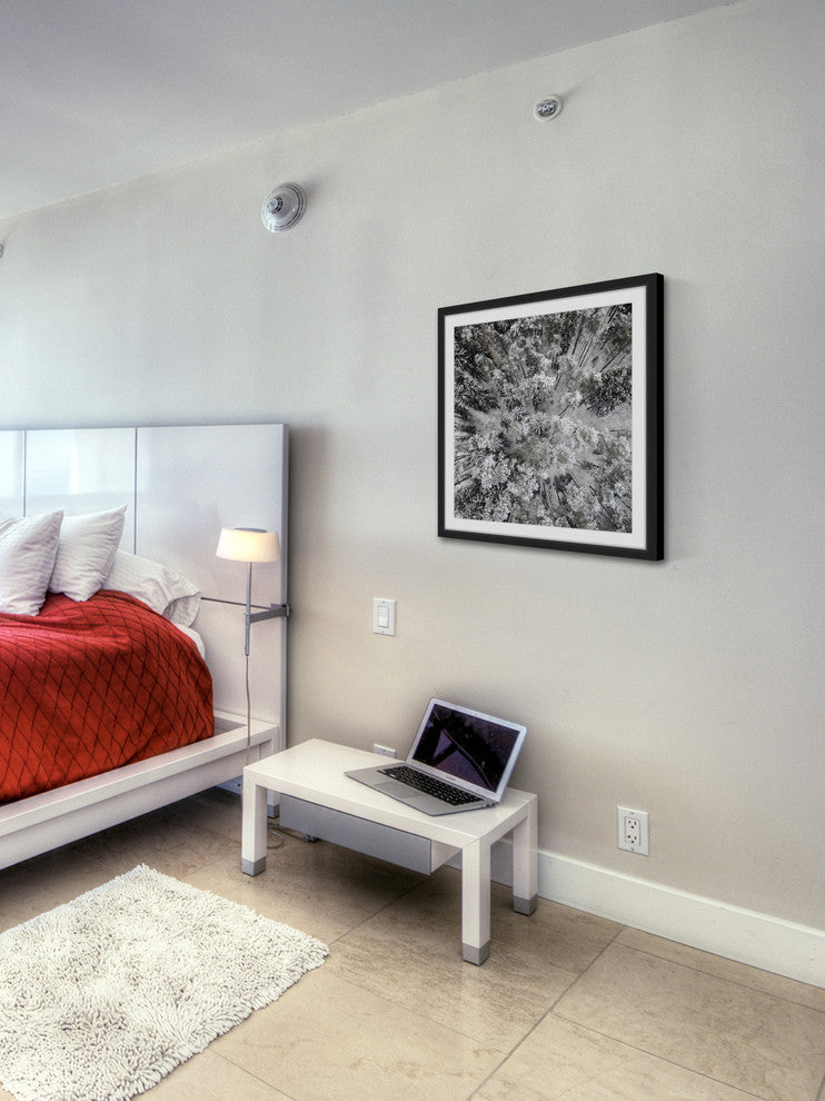 "Tall and Cold" Framed Print by Karolis Janulis