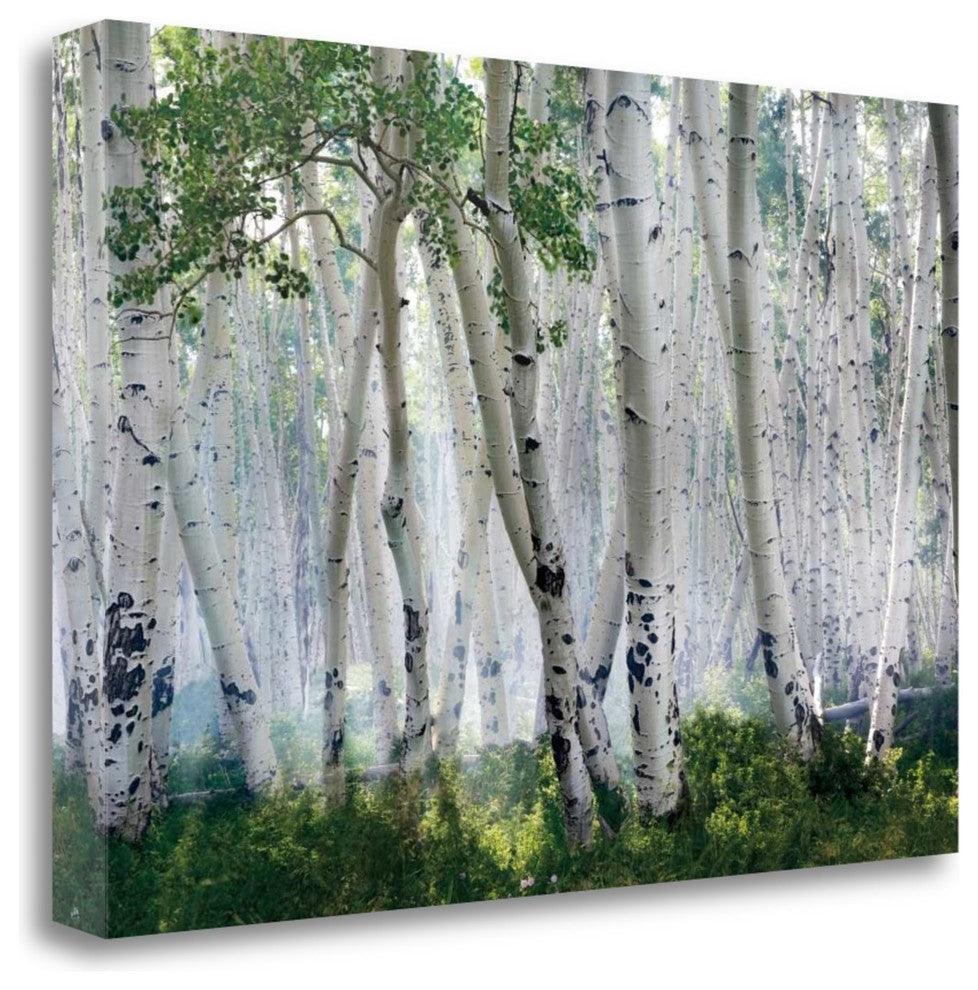 "Up In The Clouds" By Mike Jones, Giclee Print on Gallery Wrap Canvas