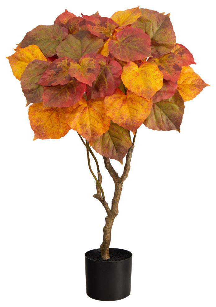 3' Autumn Umbrella Ficus Tree