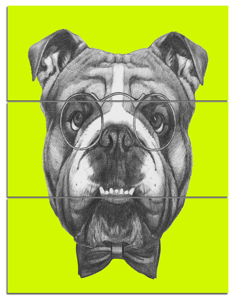 English Bulldog with Bow Tie, Contemporary Animal Art Canvas, 28x36, 3 Panels
