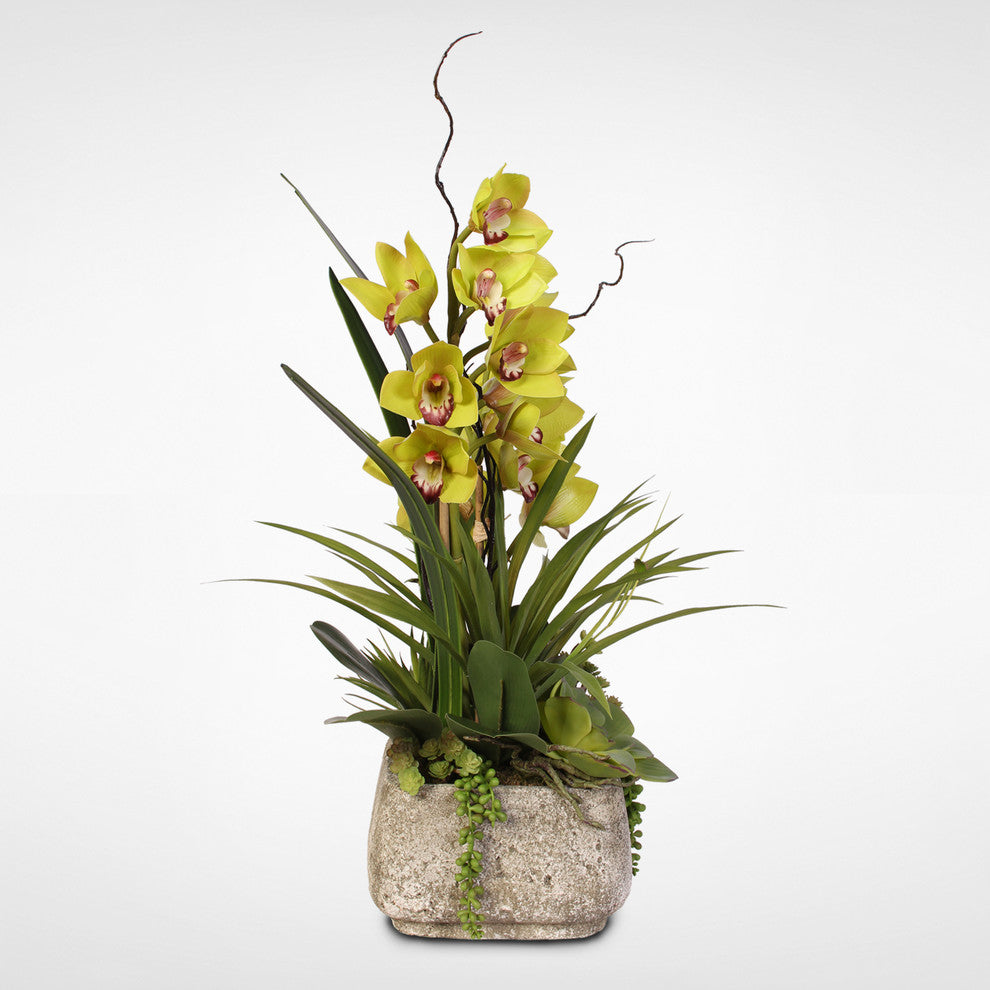 Alluring Green Real Touch Cymbidium Orchid & Succulents in a Textured Cement Pot