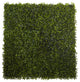 Boxwood Mat, 12" x 10", Set of 12