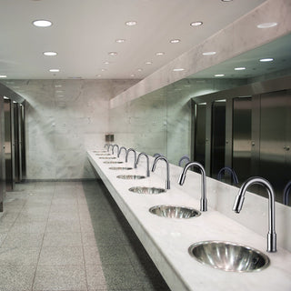 Rio Goose Neck Hands Free Faucets