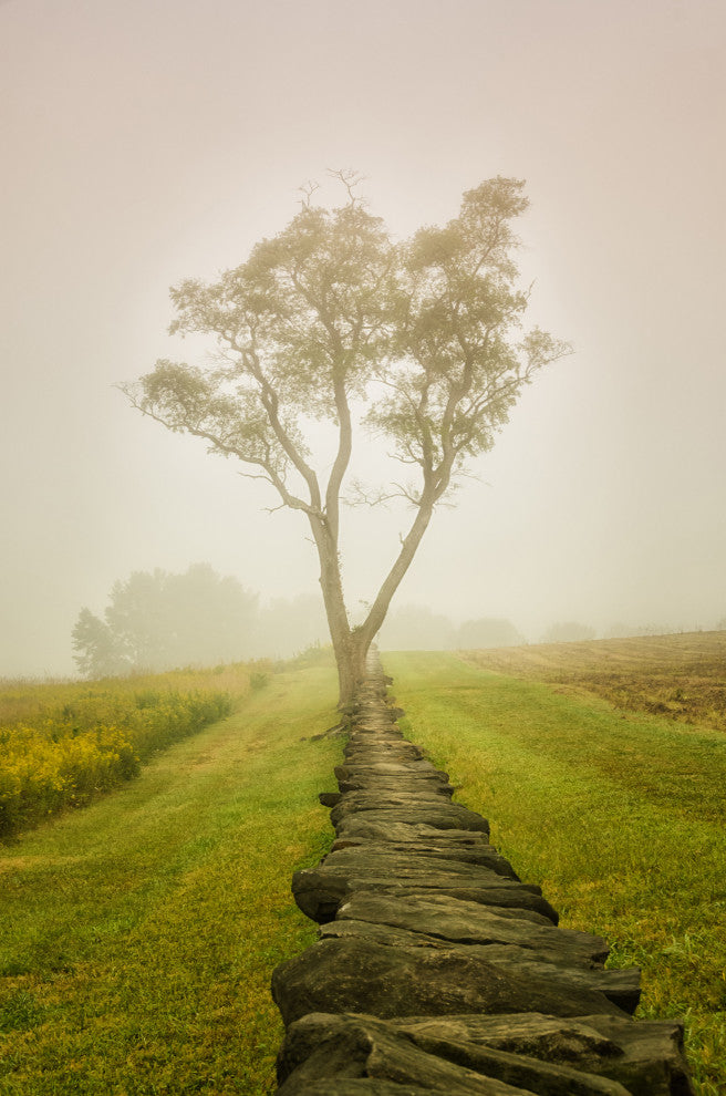 Calming Morning Rural Landscape Framed Photo Paper Wall Art Prints, Black, 12" X 16"