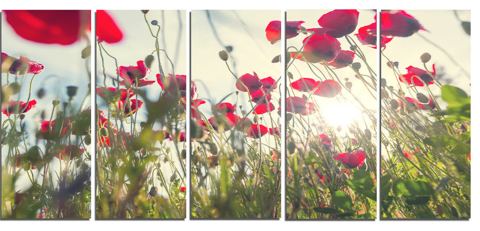 Poppy Flowers on Summer Meadow, Floral Canvas Art Print, 60"x28", 5 Panels