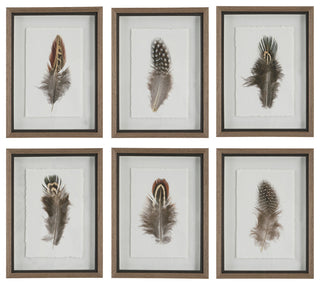 Uttermost Birds Of A Feather Plastic & Paper Prints in Brown/White (Set of 6)