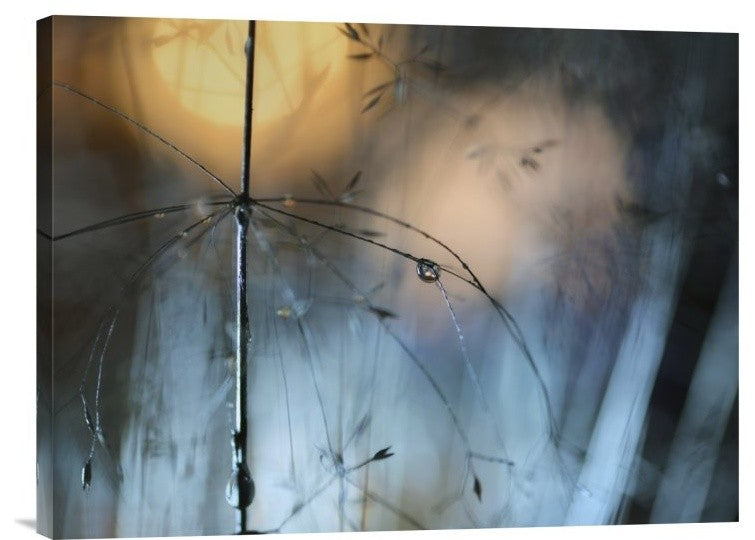 "Almost Dark" Stretched Canvas Giclee by Heidi Westum, 24"x18"