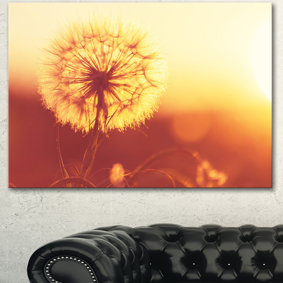 Blossom Dandelion Flower on Brown, Large Flower Canvas Art Print, 40"x30"