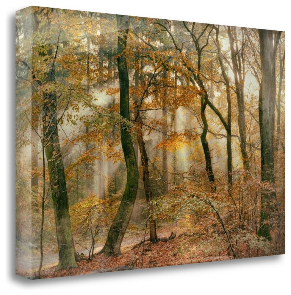 "You Cant Hide Your Rays For Me" By Lars Van De Goor, Gallery Wrap Canvas