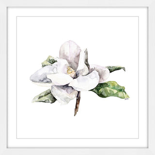 "Magnolia 4" Framed Print by Rachel Byler