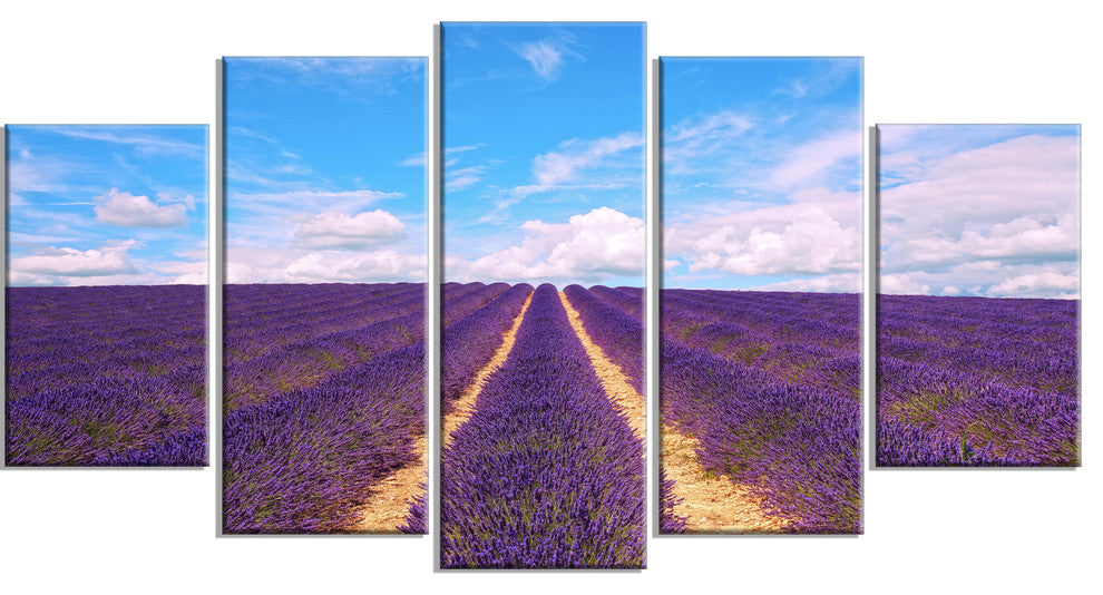 "Blooming Lavender Flower Field" Landscape Wall Art Print, 5 Panels, 60"x32"