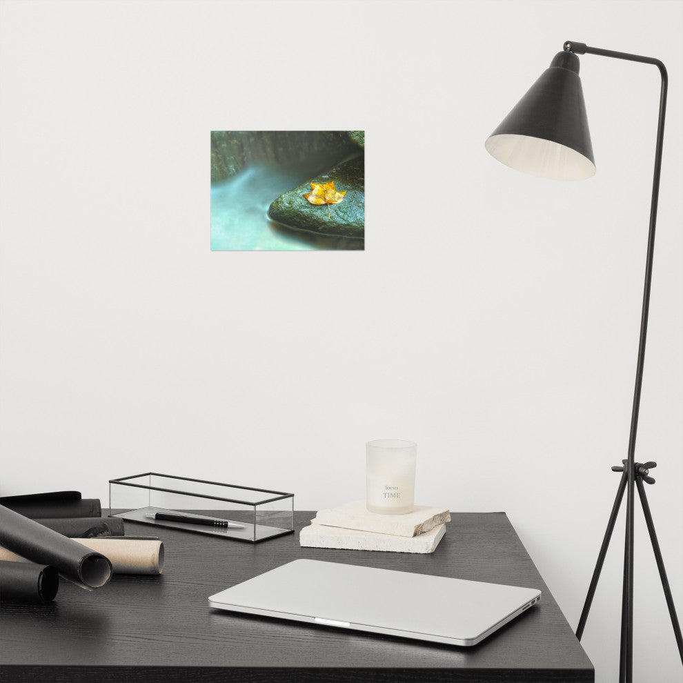 Misty Leaf Nature Photography, Botanical Unframed Wall Art Print, 8" X 10"