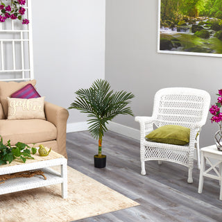 Product shown in a real room environment; full plant visible