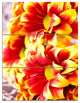 Red Yellow Flower Background Photo, Floral Canvas Artwork, 28x36, 3 Panels