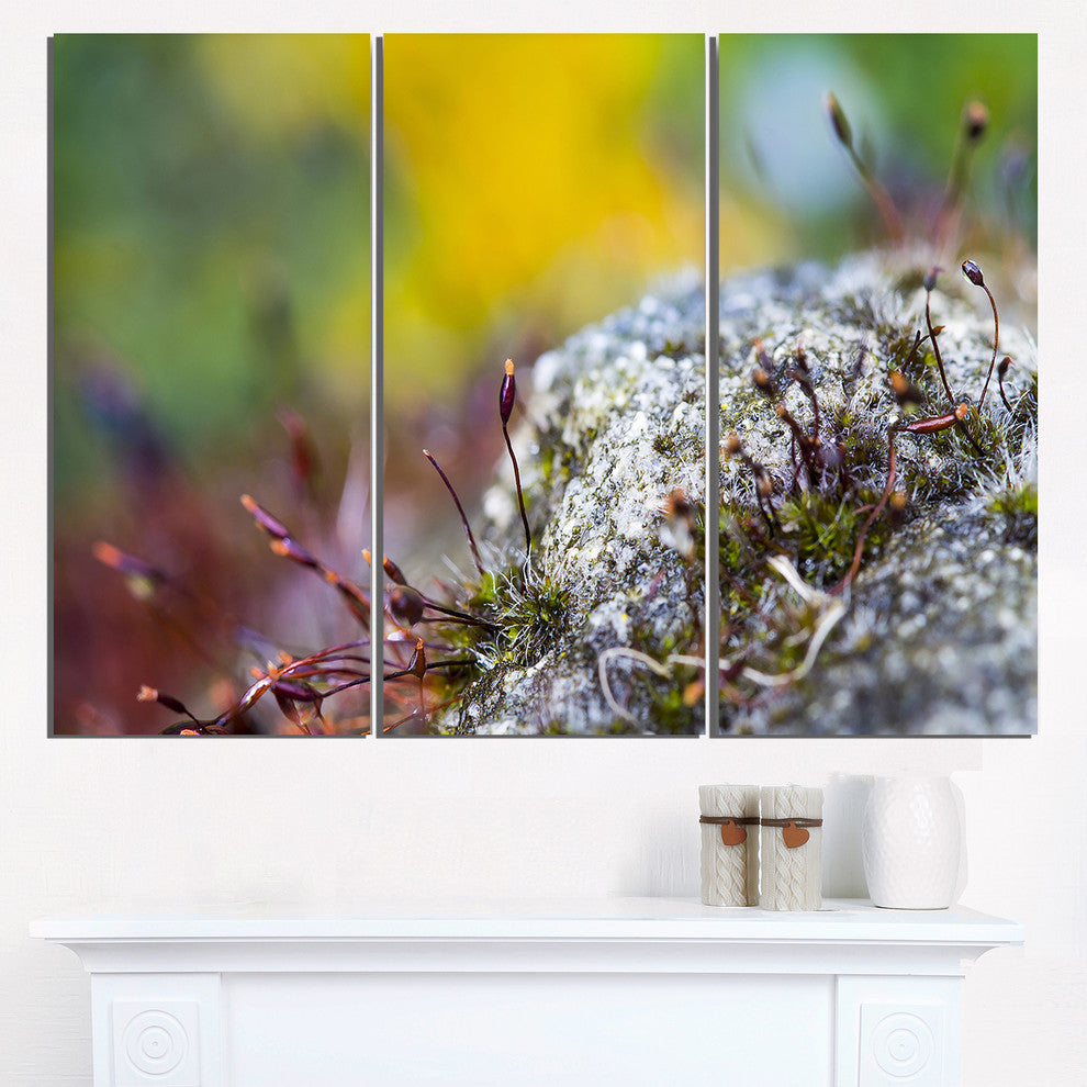 "Abstract Composition of Moss Flowers" Metal Wall Art, 3 Panels, 36"x28"
