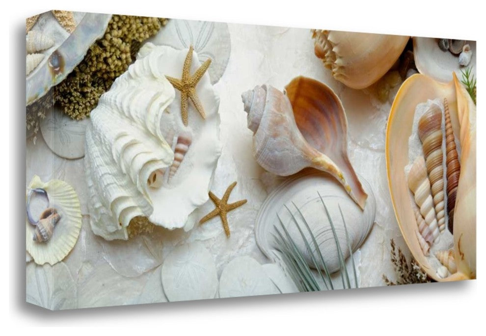 "Island Tide Pool No. 3" By Alan Blaustein, Giclee Print on Gallery Wrap Canvas