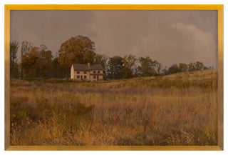 Brandywine Fine Art Print, Gold, 20"x30"