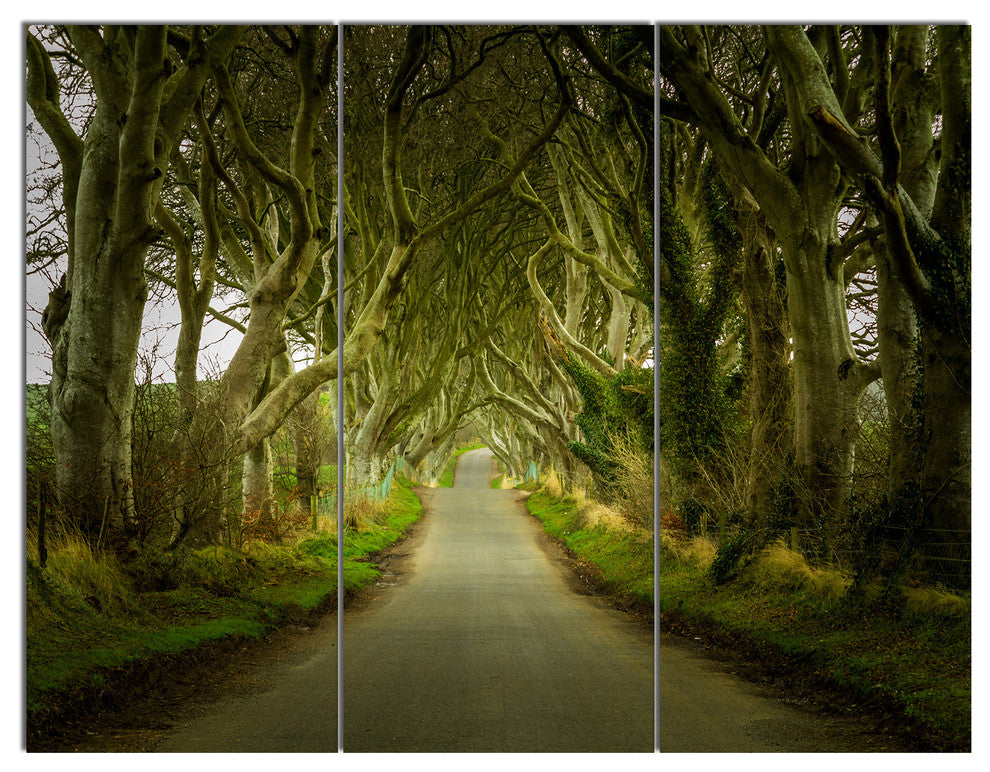 Dark Hedges Road through Old Trees, Landscape Canvas Art Print, 36x28, 3 Panels