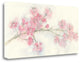 "Cherry Blossom I" By Chris Paschke, Giclee Print on Gallery Wrap Canvas