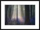 "Velvet Light" Framed Digital Print by Adrian Popan, 32x24"