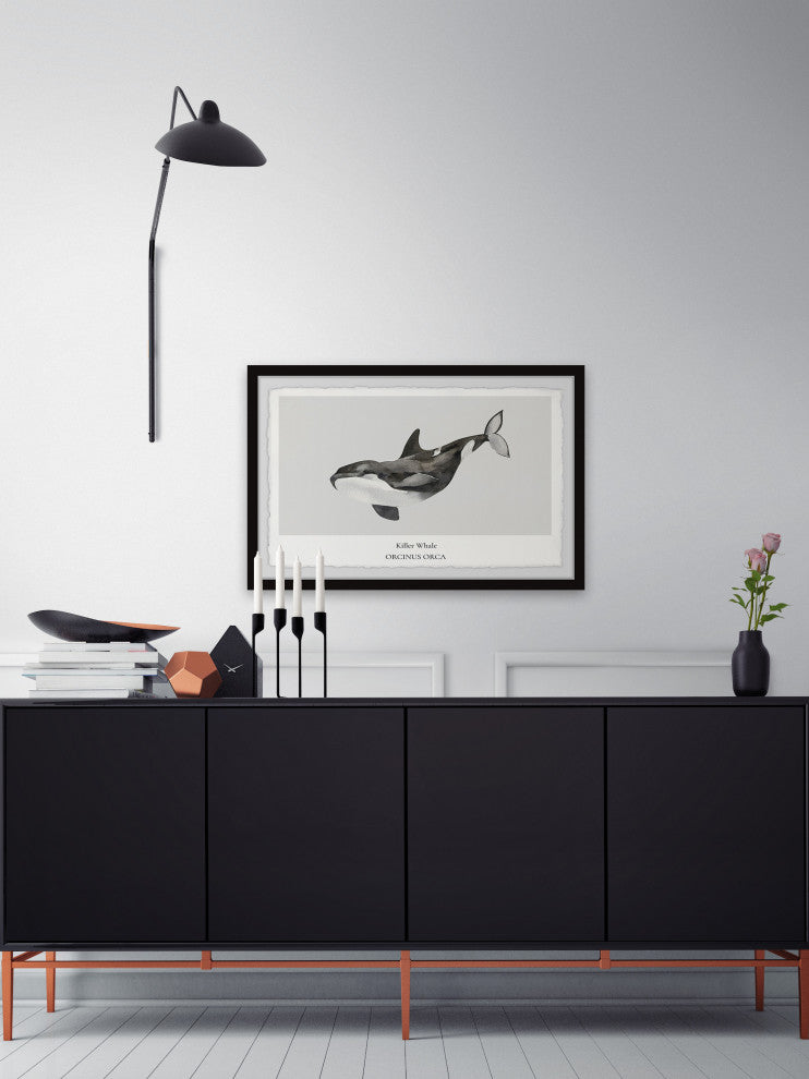"Orcinus Orca" Framed Painting Print, 30x20