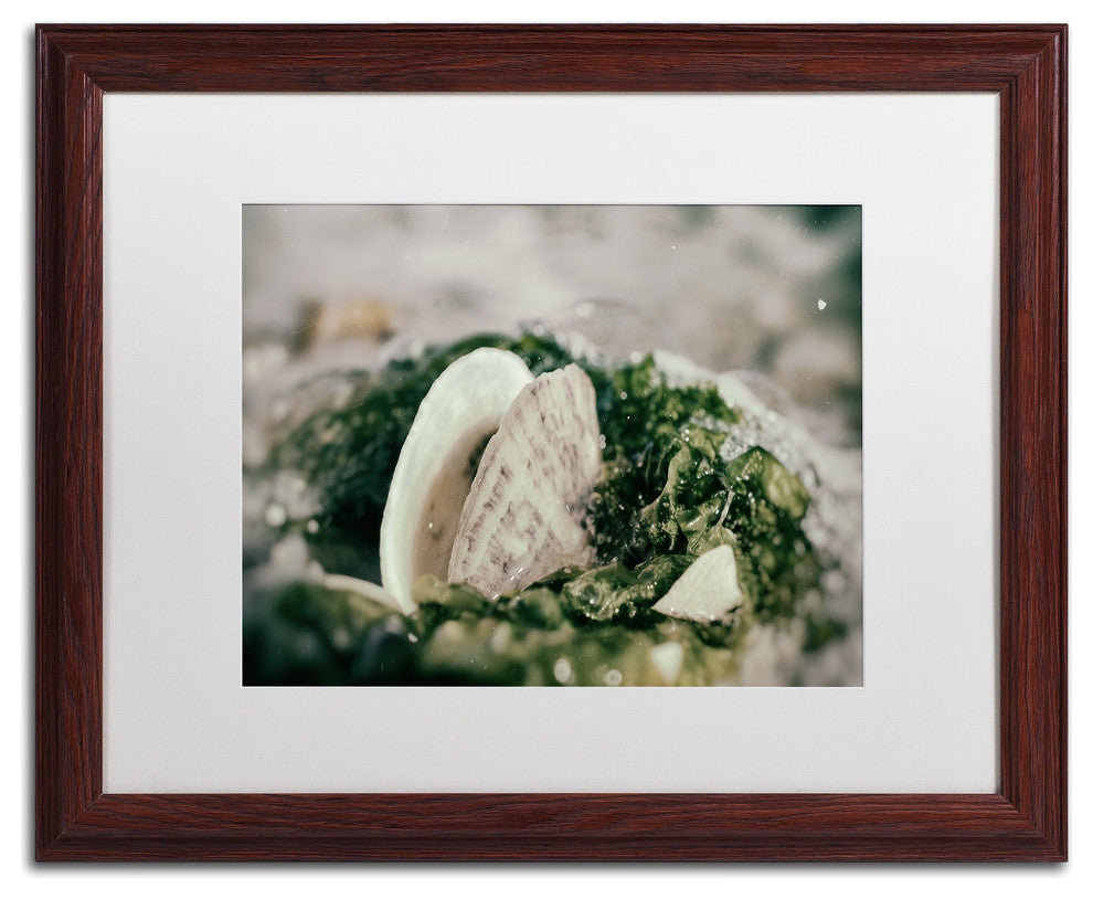 PIPA Fine Art 'Seaweed and Shells' Matted Framed Art, 20x16