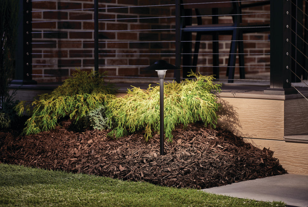 Textured Black Path and Spread 1-Light 12V