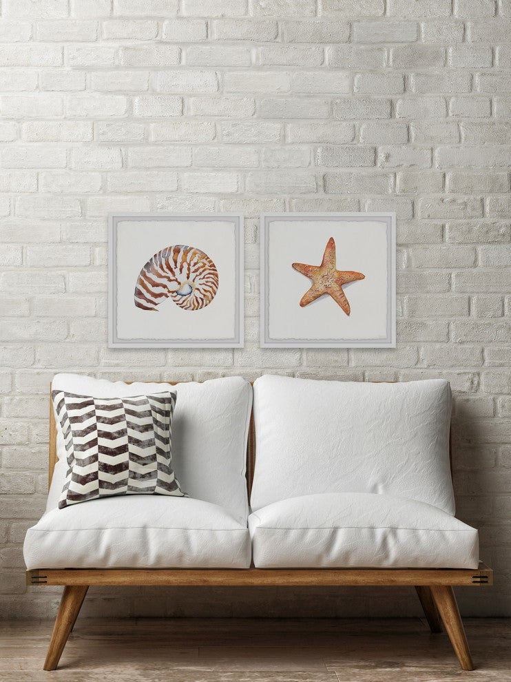 Starry Shell Diptych, 24"x12"