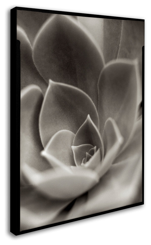 Alan Blaustein ''Florison 25'' Canvas Art, 18x24