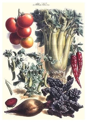 Vegetables; Beet, Hot Peppers, Celery, Tomatoes, and Peas in Pods- Paper Poster